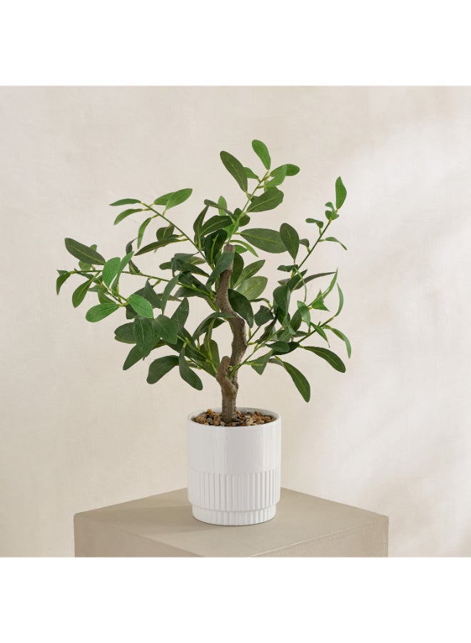 Home Box Evergreen Artificial Olive Tree for Home Decor - Image 1